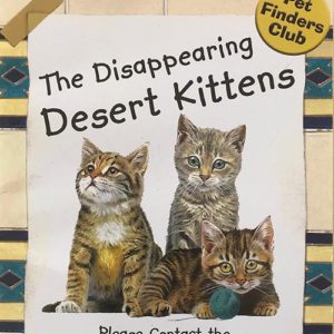 The Disappearing Kittens